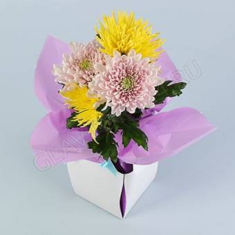 Коробка-ваза для цветов 2в1, 12х17 см, сборная, сиреневый   1505874