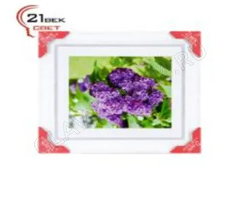 Картина в багете (40х45) 4045-1007
