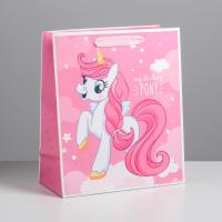 Пакет ламинированный вертикальный My darling pony, ML 23 ? 27 ? 11,5 см   4725299 — фото