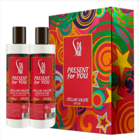 картинка Под. Набор 585# PRESENT for YOU Stellar Salute (Гель д/душа + Шампунь) от компании ГлавТорг Красноярск
