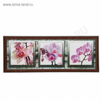 Картина "Орхидеи" 42х107 см рамка МИКС   1658370