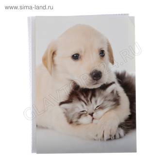 Фотоальбом на 36 фото 10х15 см Pioneer Puppies and kittens друзья 3552304