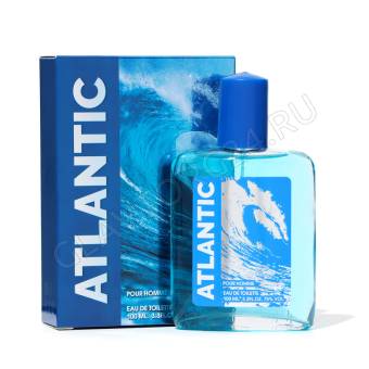 Туалетная вода мужская Atlantis 100мл L