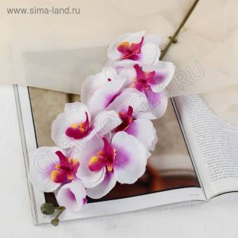 Цветы искусственные "Орхидея молди" 9*66 см, бело-фиолетовая 2578240