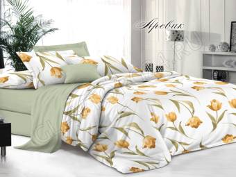 КПБ 2сп Bella Vita Premium Поплин Аревик Под175*215+Пр180*215+2Нав(70*70)