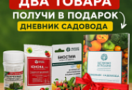 Акция 2+Подарок