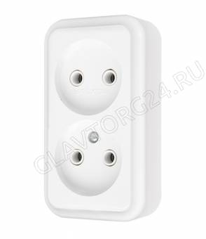 Розетка 2 ОП Пралеска РА16-260/60