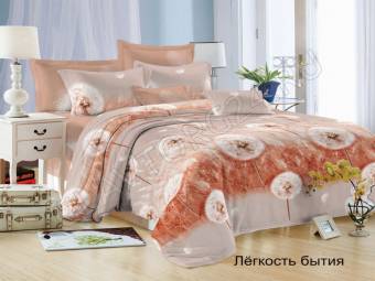 КПБ Евро Satin collection Микросатин Легкость бытия Под200*220+Пр220*240+2Нав(70*70)