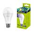 картинка Лампа светод. Ergolux LED-A65-20W-E27-6K (ЛОН 20Вт E27 6500K 172-265В) NEW от компании ГлавТорг Красноярск