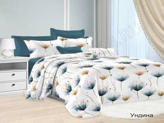 КПБ 2сп FELICITA Микросатин Ундина Под175*215+Пр180*215+2Нав(70*70)