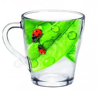Кружка 250мл Живая Природа Зеленый лист арт. 1649-Д