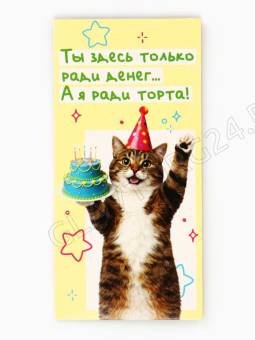 Конверт для денег «С Днём рождения!», кот и тортик, 16,5 х 8 см   10985126