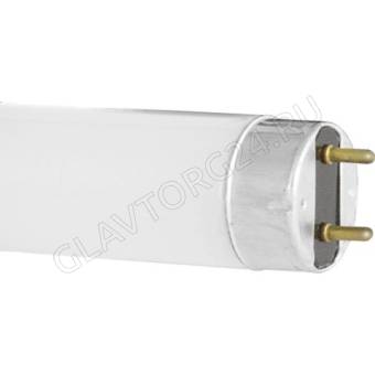 Лампа люм. Camelion FT4-12W (6500K) day light