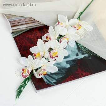 Цветы искусственные "Камбрия" 9*71 см, белый   4301694