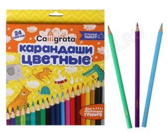 Карандаши 24цв, Calligrata, дерево, заточ, трехгр, коробка, европодвес 1014642