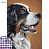 картинка Алмазная вышивка с частичным заполнением "Собака" 15*21 см, холст, емкость 2384585 от компании ГлавТорг Красноярск