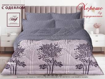 КПБ 2сп с одеялом  Микросатин Гризайль Од172*205+Пр220*240+2Нав(70*70)