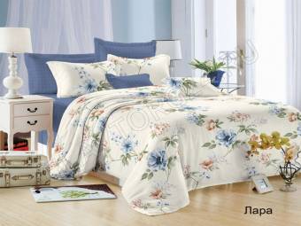 КПБ 2сп FELICITA Микросатин Лара Под175*215+Пр180*215+2Нав(70*70)