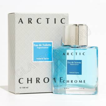 Туалетная вода мужская Arctic Chrome 100мл