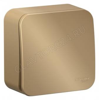 Выключатель 1-кл. ОП Blanca 10А IP20 (сх. 1) 250В с изолир. пластиной титан 