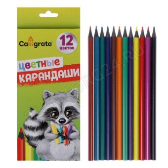 Карандаши 12 цветов в картонной коробке Calligrata 649393
