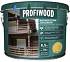 картинка Антисептик лаковый тонирующий PROFIWOOD атмосферостойкий алкидный сосна 8,5 л / 8 кг от компании ГлавТорг Красноярск