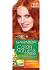 картинка GARNIER колор нэчралс №7,40 пленительный медный от компании ГлавТорг Красноярск