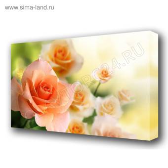 Картина на холсте "Аромат розы" 60*100 см   3674920