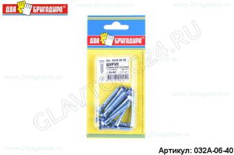Шуруп головка шестигранник "Глухарь" DIN571 6х40 (10шт)