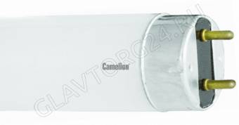 Лампа люм. Camelion FT8-36W Cool light (4200К)