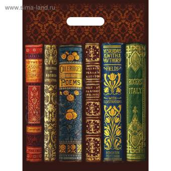 Пакет "Книги" полиэтиленовый с вырубной ручкой, 30х40 см, 50 мкм 4962411
