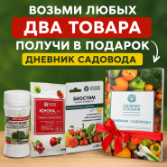 Акция 2+Подарок