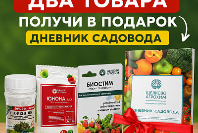 Акция 2+Подарок