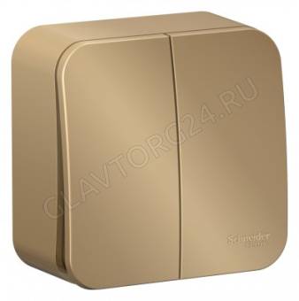 Выключатель 2-кл. ОП Blanca 10А IP20 (сх. 5) 250В с изолир. пластиной титан