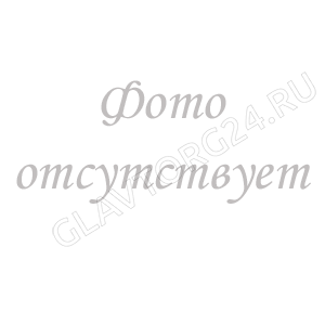 Клапан предохранительный (нерегулируемый) 1,5 Bar (AQUALINK 100/1)