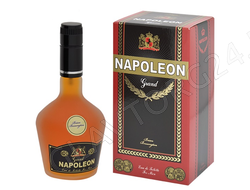 Туалетная вода мужская Napoleon Grand 93мл