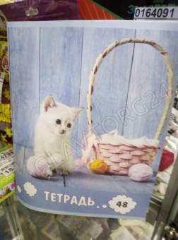 Тетрадь 48л в клетку, блок №2, обложка 120г/м2