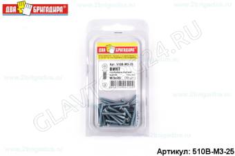 Винт головка потай крест №2 цинк DIN 965. M6х25 (12шт.)