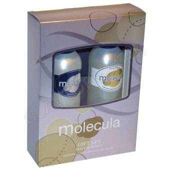 Набор подарочный MOLECULA 181 (шампунь 250+гель д/душа 250) жен