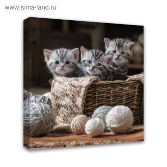 Картина на холсте "Котята" 30*30 см 4194706