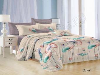КПБ Евро Satin collection Микросатин ЭЛИТ Под200*220+Пр220*240+2Нав(70*70)