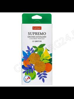 Карандаши  12цв Supremo /мягкий стержень /карт.коробка