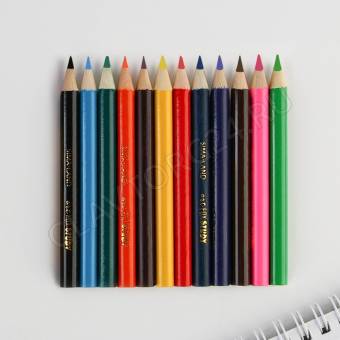 Карандаши мини 12 цветов ArtFox STUDY, круглые, деревянные, заточенные, европодвес 944873