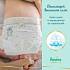 картинка PAMPERS Подгузники Premium Care Mini (4-8кг) Упаковка 80шт РАСПРОДАЖА от компании ГлавТорг Красноярск