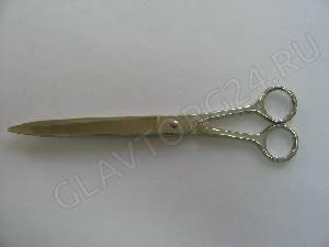 Ножницы Н-18М остроконечные 250мм.