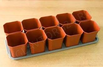 Набор для рассады 0,7л (10стак+поддон) Сим /10шт