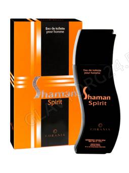 Туалетная вода мужская Shaman Spirit 100мл