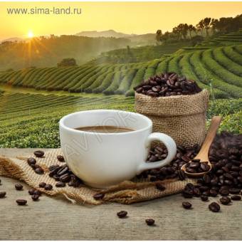 Картина на подрамнике "Ароматный кофе" 40*40 см 4194734