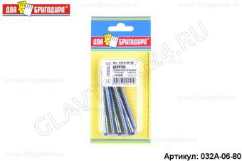 Шуруп головка шестигранник "Глухарь" DIN571 6х80 (6шт)