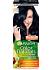 картинка GARNIER колор нэчралс №1.10 холодный черный от компании ГлавТорг Красноярск
